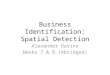 Business Identification: Spatial Detection