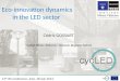 Eco-innovation dynamics in the LED sector