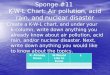 Sponge #11  K-W-L Chart: Air pollution, acid rain, and nuclear disaster