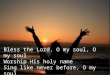 Bless the Lord, O my  soul, O  my soul Worship His holy name Sing like never  before, O  my soul