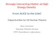 Roy Lemmon Nuclear Physics Group STFC  Daresbury  Laboratory