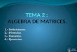 TEMA 2 :  ALGEBRA DE MATRICES
