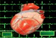 Cardiovascular Nursing Selected Topics PT 1