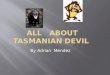 All   About Tasmanian Devil