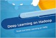 Deep Learning on  Hadoop