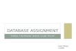 Database Assignment