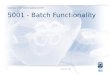 5001 - Batch Functionality