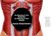 An Opening in the Abdomen An Opening in the Market: Fascia  Tensiometers