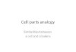 Cell parts analogy