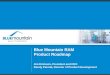 Blue Mountain RAM  Product Roadmap Jim Erickson, President and CEO