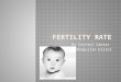 Fertility Rate