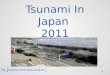 Tsunami In Japan  2011