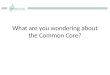 What are you  wondering about the Common Core?