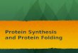 Protein Synthesis and Protein Folding