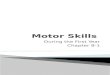 Motor Skills