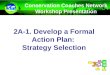 2A-1. Develop  a Formal Action Plan:  Strategy Selection