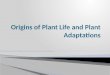 Origins of Plant Life and Plant Adaptations