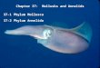 Chapter 37:  Mollusks and Annelids