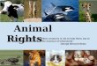 Animal  Rights