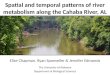 Spatial and temporal patterns of river metabolism along the Cahaba River, AL