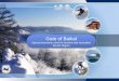 Gate of Baikal Special economic zone for tourism and recreation Irkutsk  Region