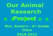 Our Animal  Research Project