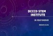 DCCCD  STEM Institute