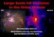 Large Scale CO Emission  in the Orion Nebula