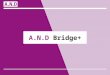A.N.D  Bridge+
