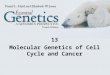 13 Molecular Genetics of Cell Cycle and Cancer