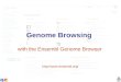 Genome Browsing