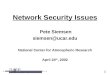 Network Security Issues