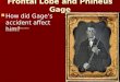 Frontal Lobe and  Phineus  Gage