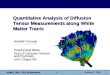 Quantitative Analysis of Diffusion Tensor Measurements along White Matter Tracts