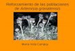 Reforzamiento de las poblaciones de  Artemisia granatensis
