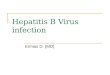 Hepatitis B Virus infection