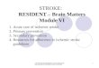 STROKE:   RESIDENT – Brain Matters Module VI