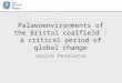 Palaeoenvironments of the Bristol coalfield : a critical period of global change