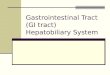 Gastrointestinal Tract (GI tract) Hepatobiliary System