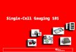 Single-Cell Gauging 101