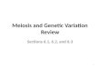 Meiosis and Genetic Variation Review