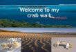 Welcome to my crab walk