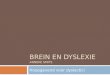 Brein en dyslexie Anneke Smits