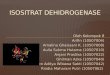 ISOSITRAT DEHIDROGENASE