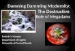 Damning Damming Modernity:  The Destructive Role of  M egadams