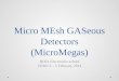 Micro  MEsh GASeous  Detectors (MicroMegas)