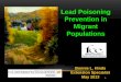 Lead Poisoning Prevention in Migrant Populations