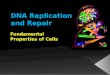 DNA Replication  and Repair