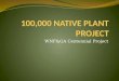 100,000 NATIVE PLANT PROJECT