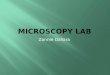 Microscopy Lab